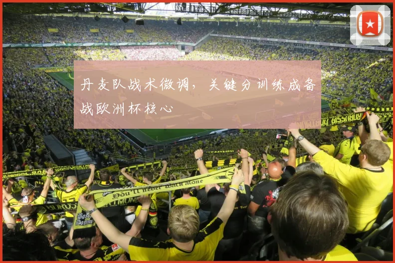 丹麦队战术微调，关键分训练成备战欧洲杯核心