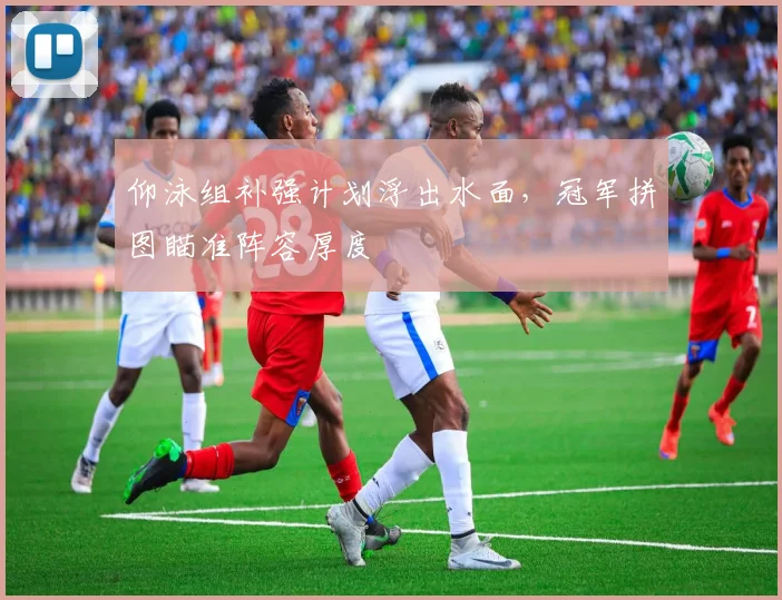 仰泳组补强计划浮出水面，冠军拼图瞄准阵容厚度
