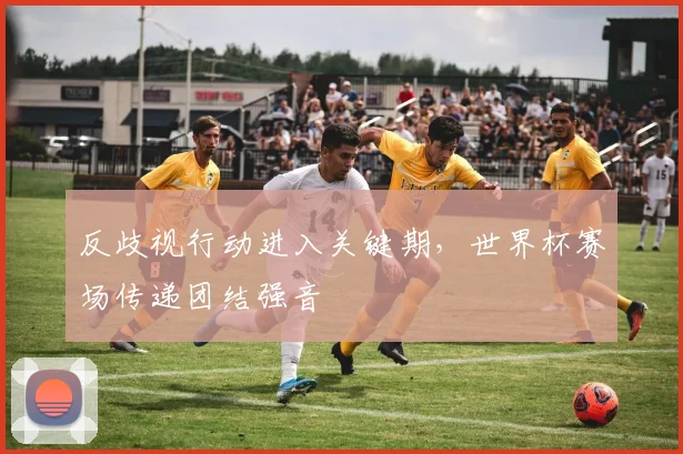 反歧视行动进入关键期，世界杯赛场传递团结强音