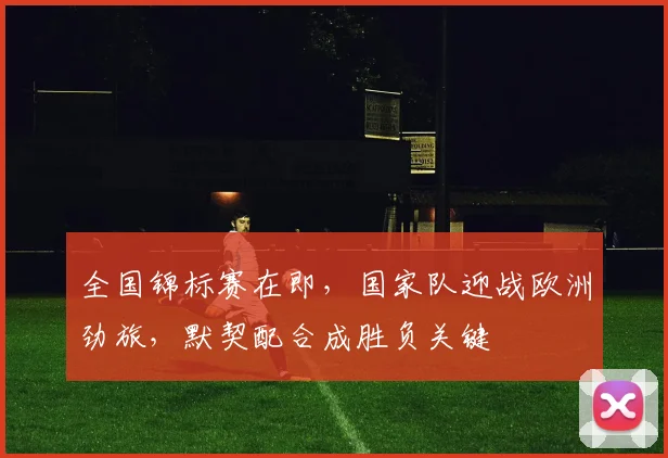 全国锦标赛在即，国家队迎战欧洲劲旅，默契配合成胜负关键