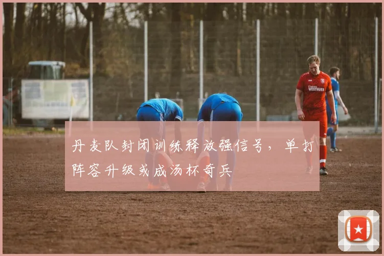 丹麦队封闭训练释放强信号，单打阵容升级或成汤杯奇兵