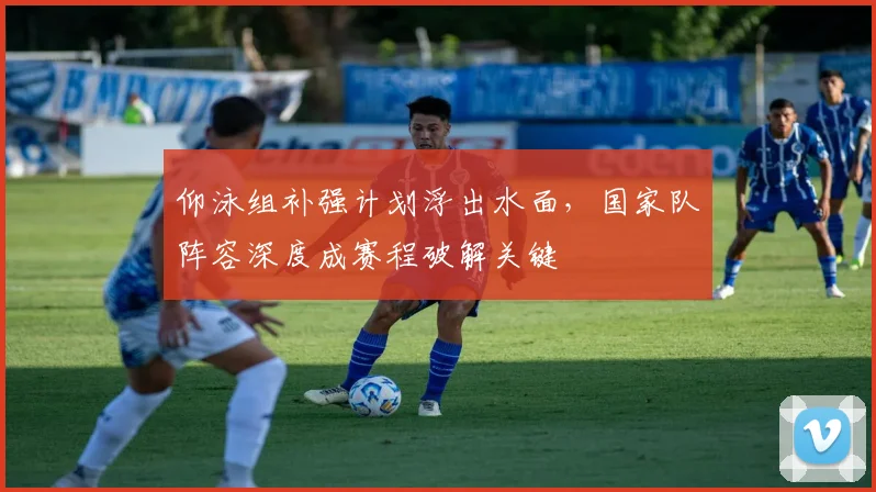 仰泳组补强计划浮出水面，国家队阵容深度成赛程破解关键